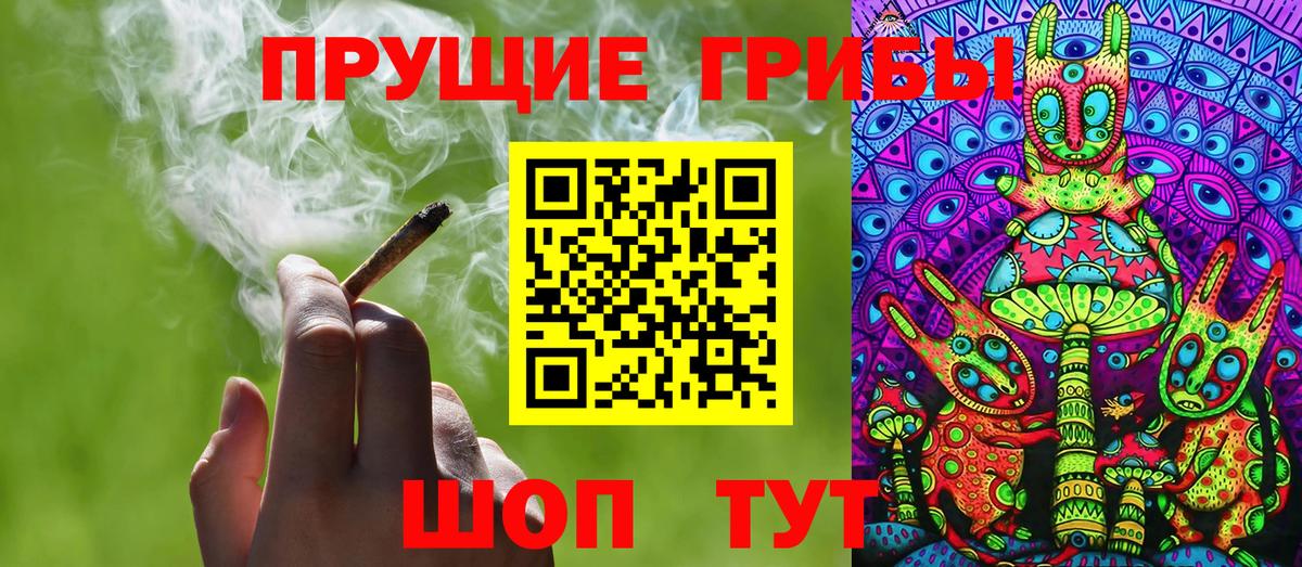 Пугачёв  Псилоцибиновые грибы Cubensis  Галлюциногенные грибы MAGIC MUSHROOMS  Вход с VPN 
