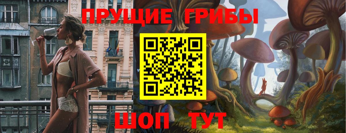 Галлюциногенные грибы мицелий Пугачёв